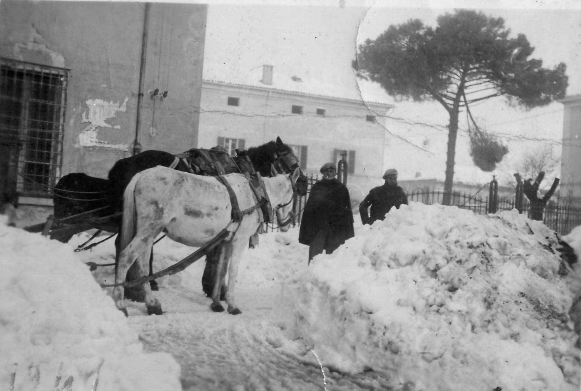 neve1944.jpg (141276 byte)