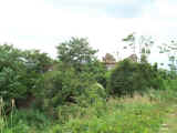 molino passetto 2014-2.jpg (1854539 byte)