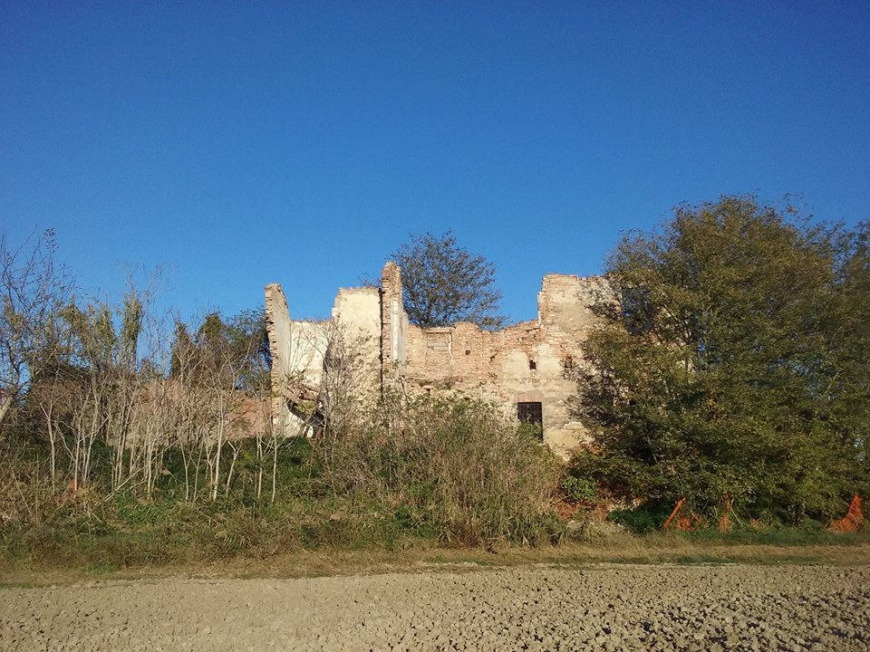 mulino-2012-gil2.jpg (181732 byte)