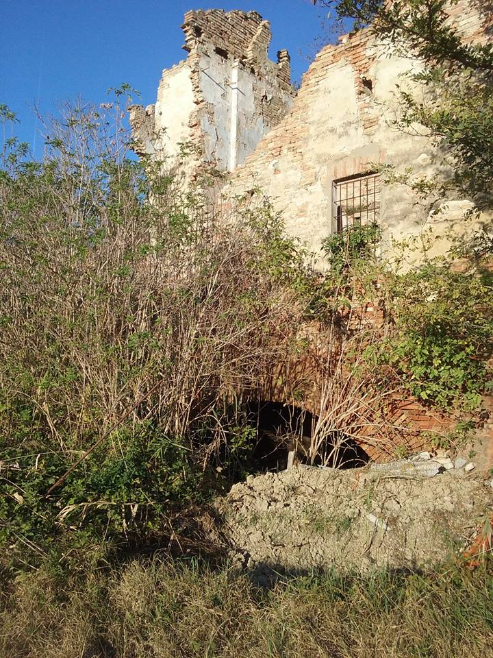 mulino-2012-gil3.jpg (219573 byte)