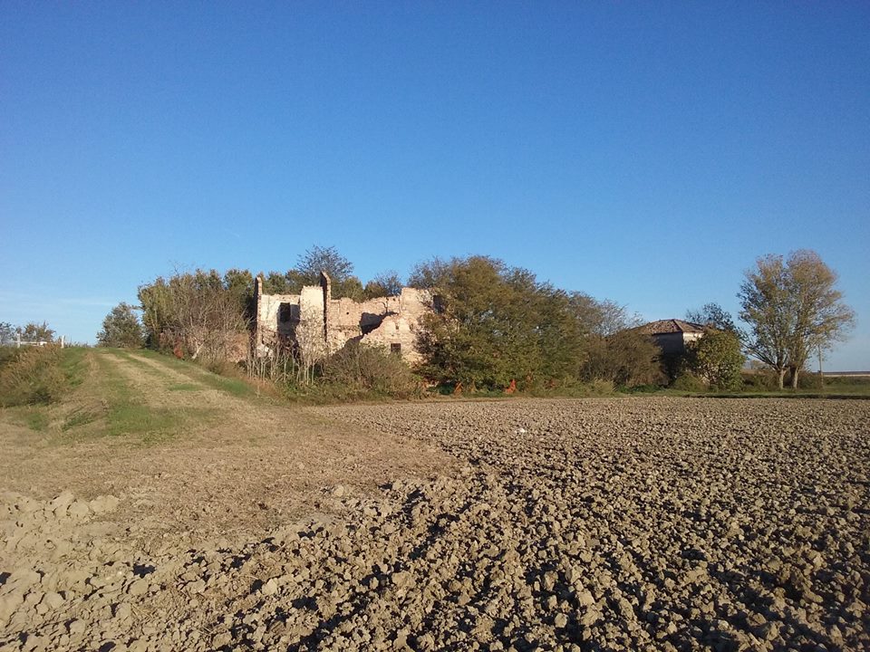 mulino-2012-gil6.jpg (169535 byte)
