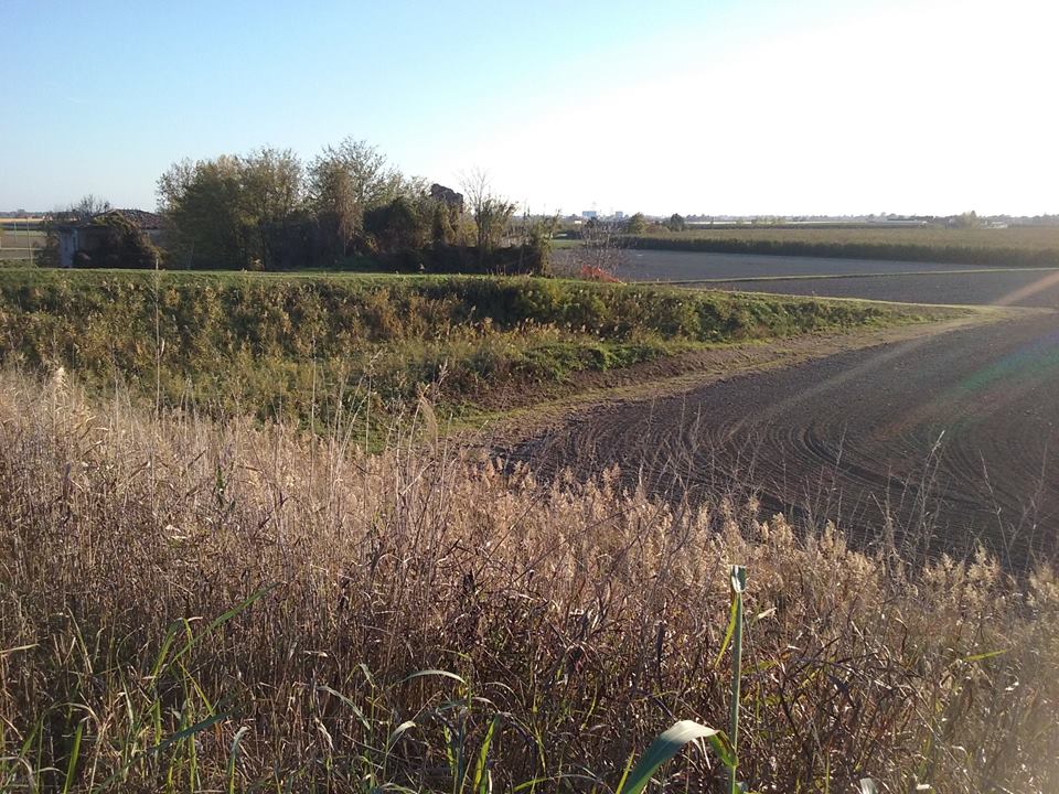 mulino-2012-gil7.jpg (162341 byte)