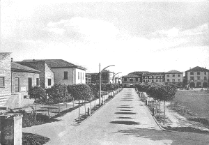 wpeC1.gif (241969 byte)