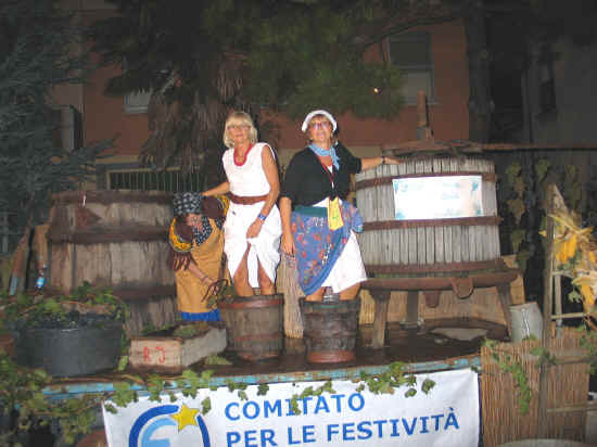 uva stefania..JPG (406661 byte)